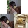 Luofu Flower Dream Hair Claw With Rose Design For Women Summer 2025