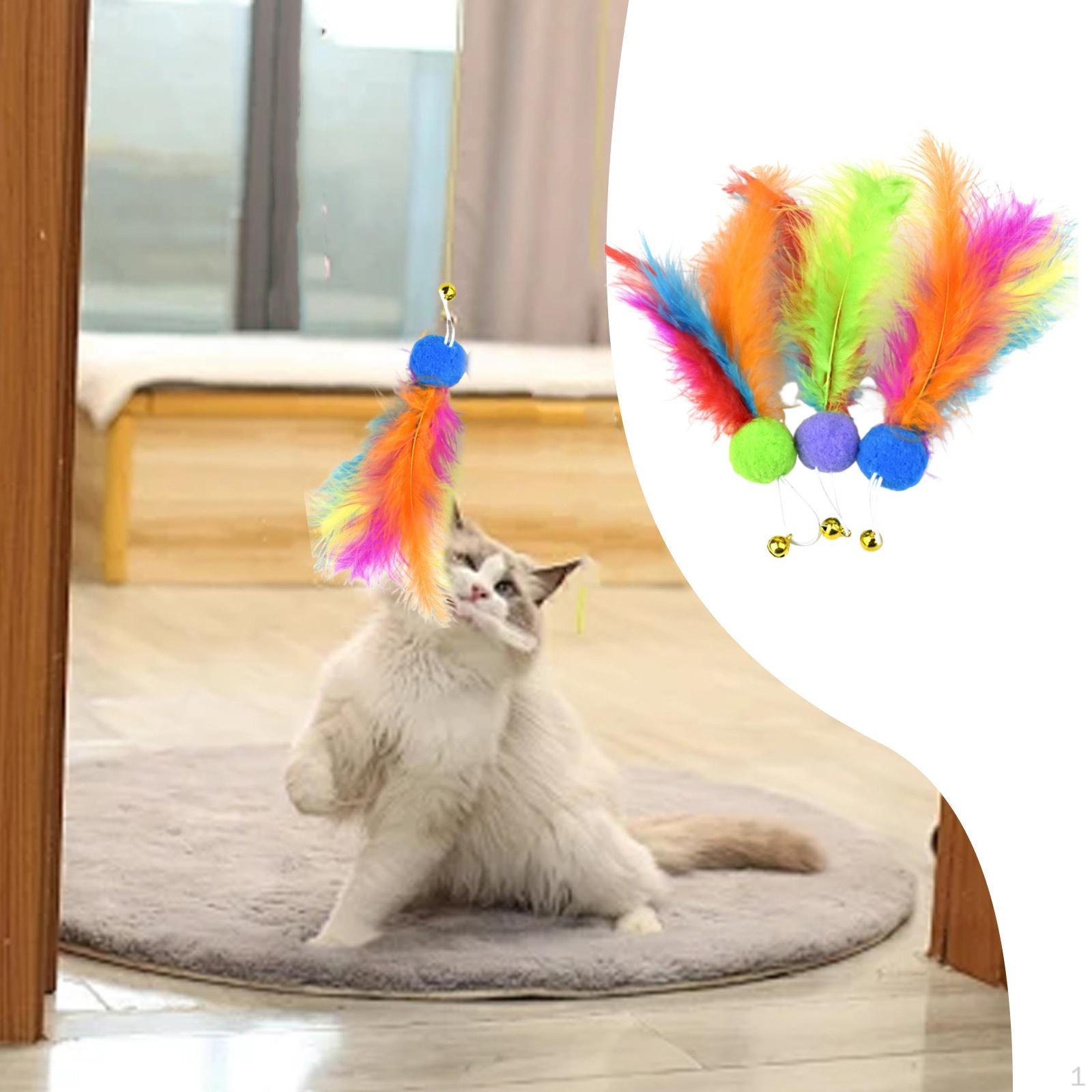 

3x Cat Artificial Feather Toys Pet Supplies Funny Training Portable Fun Gift Cute Interactive