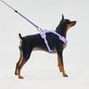 Far Puppy No-Webbing Harness, Monte Lavender