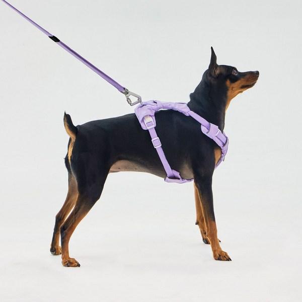 Far Puppy No-Webbing Harness, Monte Lavender