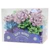 Apac Galaxy Metallic Happy Birthday Pull Bow (Pack of 30)