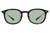 Sunglasses UNITED Colored Thick UV [Zoff] Wellington-style (Brown (Demi Pattern) - ZN261G06_49A1) ARROWS. Lenses, Frame, Stylish, Protection, Unisex,