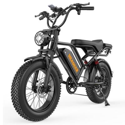 HEADEER BK20 Elektrisches Fahrrad für Erwachsene 48V 20Ah Abnehmbarer Akku Reichweite 80 km Reifen 20 Zoll Doppelte Federung Hydraulische Bremsen Off-Road E-Bike
