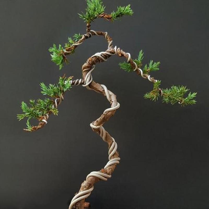 Green Plant Aluminum Wire for Bonsai Shaping and Fixation