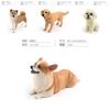 Childrens Pet Cibotium Barometz Welsh Corgi Shepherd Dog Pet Animal Model For Playroom Decor And Collecting