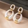 Niche Elliptical Geometric Hollow Earrings High-grade Light Luxury Earrings Hollow Geometric Exaggerated Shape Earrings