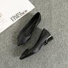 Women's Soft Leather Sole Thick Heel Spring and Autumn Mid-heel Versatile Work Shoes Casual Shoes