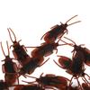 100Pcs Soft Material Fake Cockroach Lifelike Halloween Props Durable Trick Toys  April Fools Day
