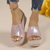 Fashion Women Slippers 2024 Summer New Fashion Platform Beach High Heels Shoes for Women Wedges Sexy Open Toed Slippers Female Zapatos