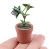 1:12 Dollhouse Miniature Potted Plants Tulip Flower Pot Fortune Fruit Bonsai Model Garden Home Decor Toy Doll House Accessories