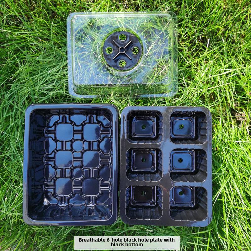 Gardening Seedling Tray Set: 6-Hole & 12-Hole Trays with Air Vents and Switchable Lids - 3 Pieces