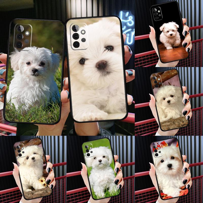 Maltese Dog Puppies Soft Cover For Samsung Galaxy A54 A53 A73 A13 A71 A51 A14 A52 A32 A12 A22 A52S Back Case