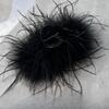 Super Long Feather Grab Clip Medium Small High Sense Shark Clip Back Head Half Tie Hair Clip Women's Hair Accessories