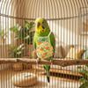 Adjustable Bird Nappy Breathable Parrot Flying Clothes Comfortable Bird Flight Suits  Daily Wear