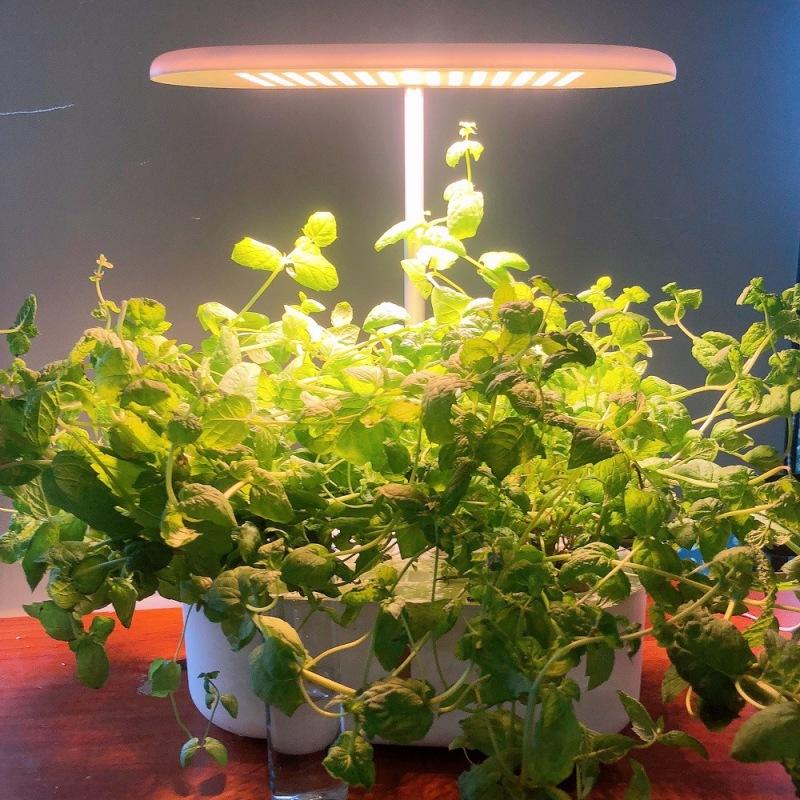 Smart Plant Growth Light Light Full Spectrum Plant Plant Plant Machine Hydroponický sázecí stroj