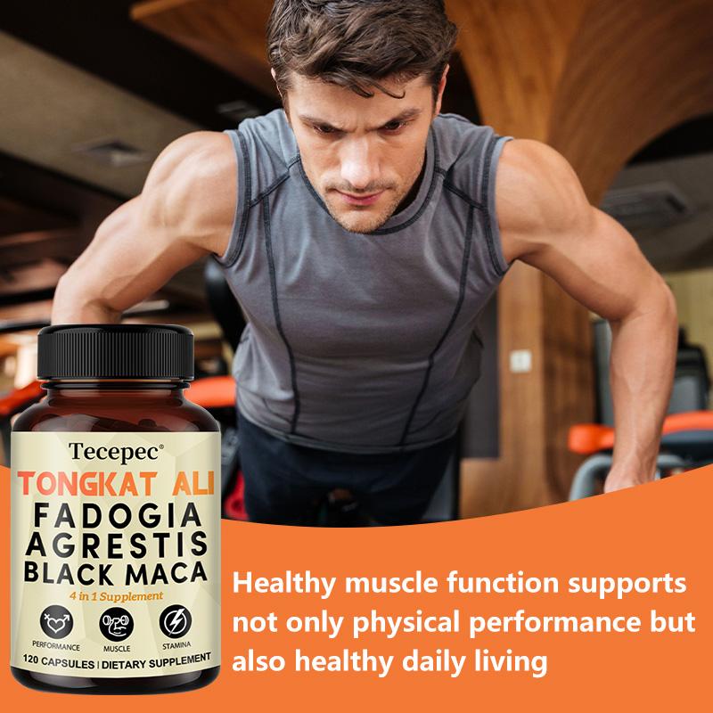 Tongkat Ali Root Supplement, With Fadogia Agrestis, Black Maca Root, 120 Capsules Per Bottle