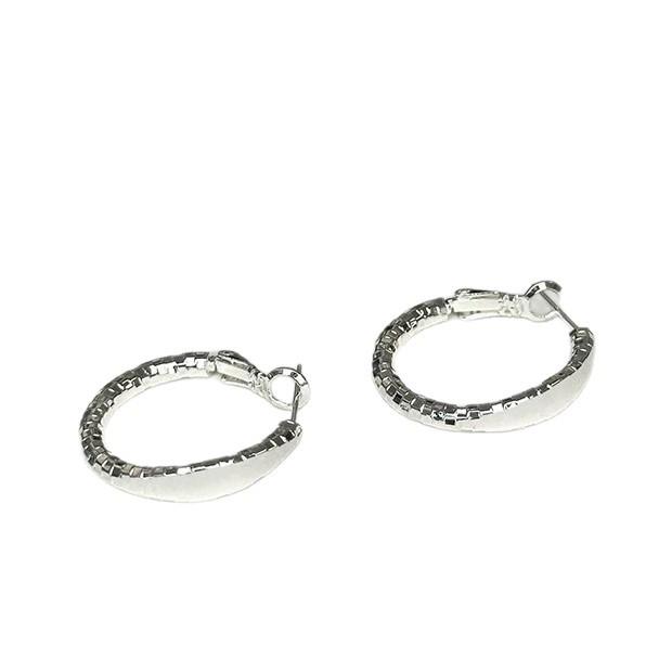 Autumn/Winter 2025 High-End Fashion Circle Earrings with Unique Design