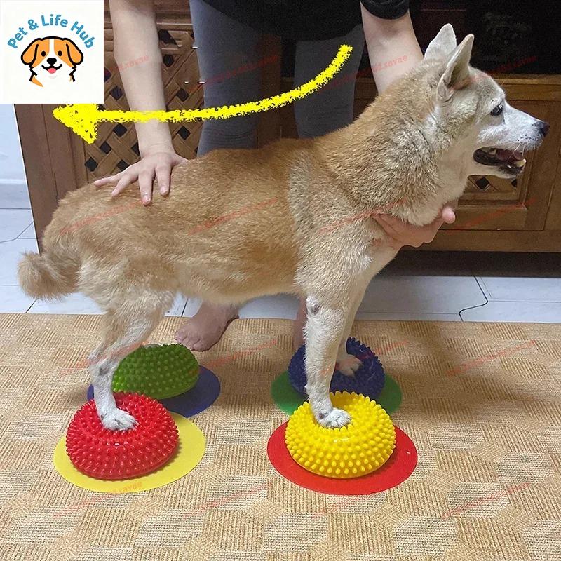 AVC Hund Hämisphärischer Pfotenballen Trainer Gleichgewichtskorrektur Muskelregeneration Für Knie Patella Lendenwirbelsäule Haustier Rehabilitation