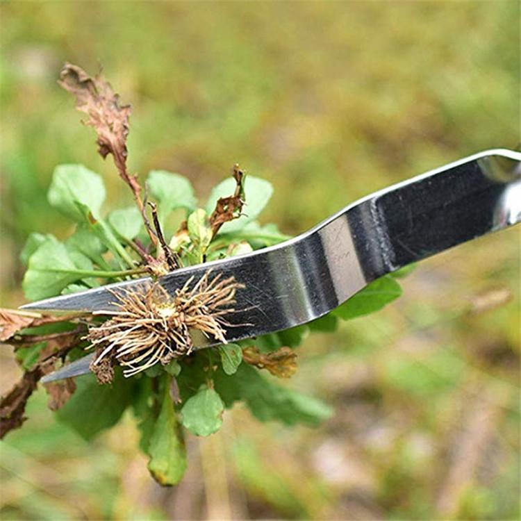 Sarchiatore da Giardino in Acciaio Inossidabile con Manico in Legno Rimozione Manuale delle Erbacce Taglierino Strumenti Estrattore Denti di Leone Sarchiatore Multifunzione Trapianto