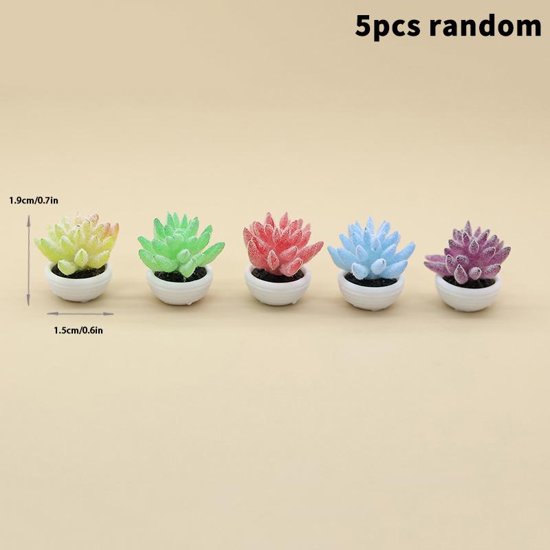 5 Stück Simulation Mini-Sukkulenten Topfpflanzen Modell Puppenhaus Bonsai Dekoration Puppenhaus Mikro-Landschaft Garten Schreibtisch-Schmuck