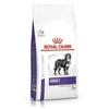 Royal Canin Nourriture Adult Large Dog | 13 KG