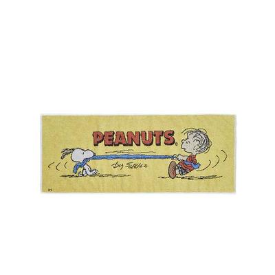PEANUTS Snoopy Five-colored Woven Face Towel (1990s) Japan NEW