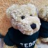 [USED] British Teddy Bear's Brother