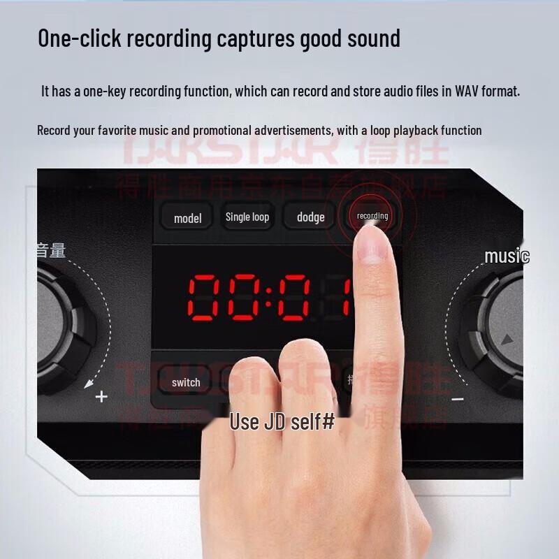 TAKSTAR WDA-500 Wireless Portable Outdoor Speaker