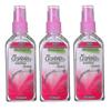 3x 80ml Muggenspray Thailand Plant Anti-muggenbeet Zwelling Jeuk Muggenwerend Vloeibaar Spray voor Lichaam Ongediertebestrijder 25-26