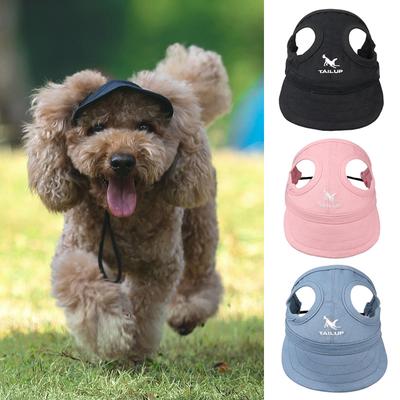 dog with baseball hat