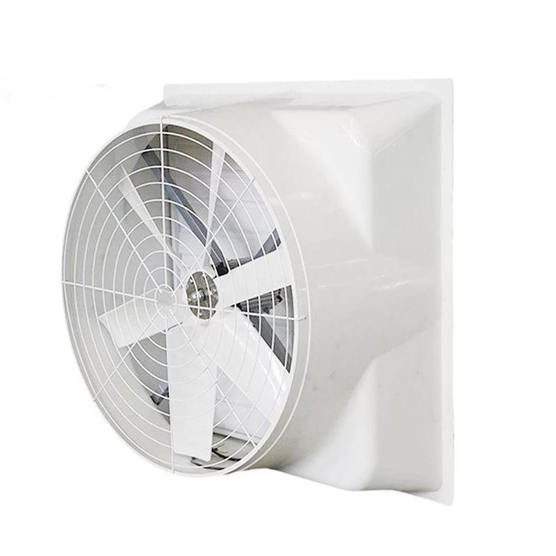 Industrial Negative Pressure Exhaust Fan for Cooling and Ventilation
