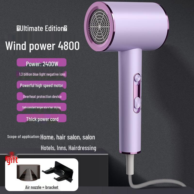 High Power Blue Light Negative Ion Hair Dryer with Strong Wind