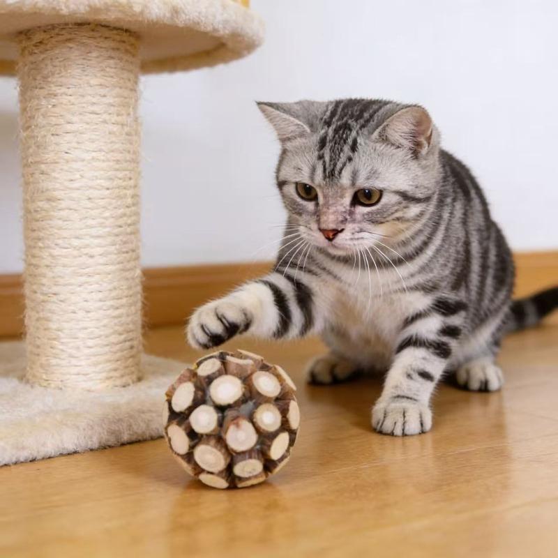 Katzenminze-Stab-Ball Haustier-Katze Zähneknirschen Spielzeug Natürliches Holz Knöterich-Stöcke Kätzchen Zähne Reinigen Spielzeug Haustier-Katze Kauspielzeug