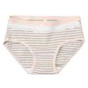 Multi-Color Stripe Lace Trim Velvet Cotton-Nylon Mid-Rise Girl's Panties