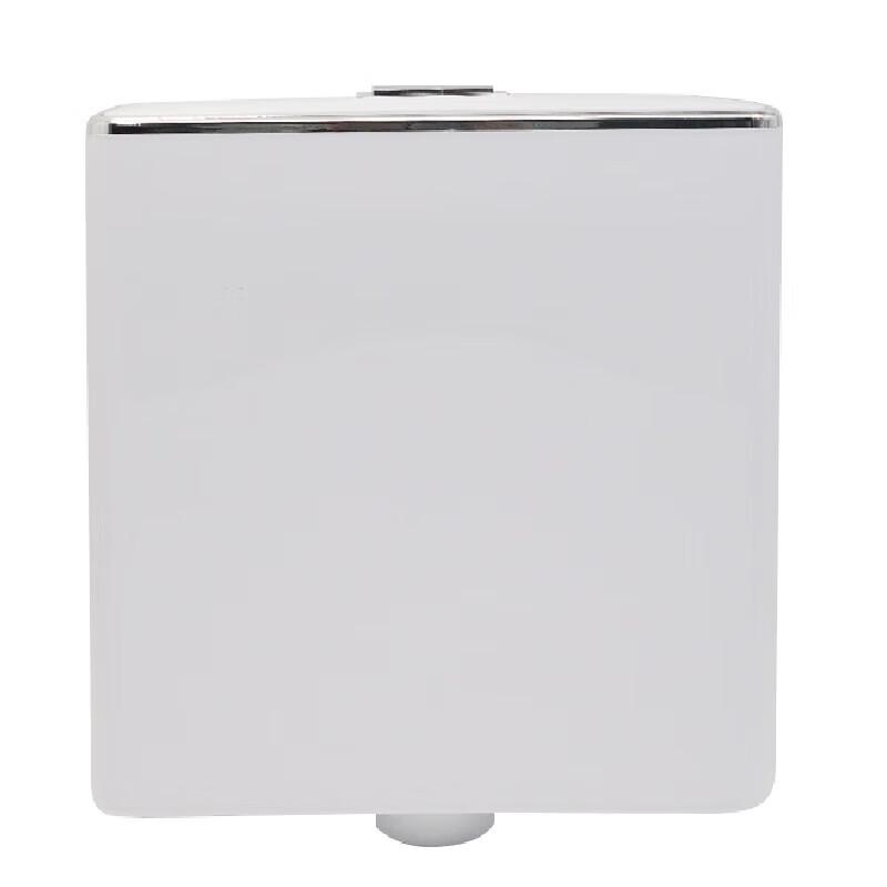 Bingyu Wall-Mounted Toilet Tank