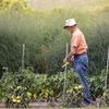   Gardening Weeder With Detachable Stainless Components Standing Operation Reduces Back Strain During Use
