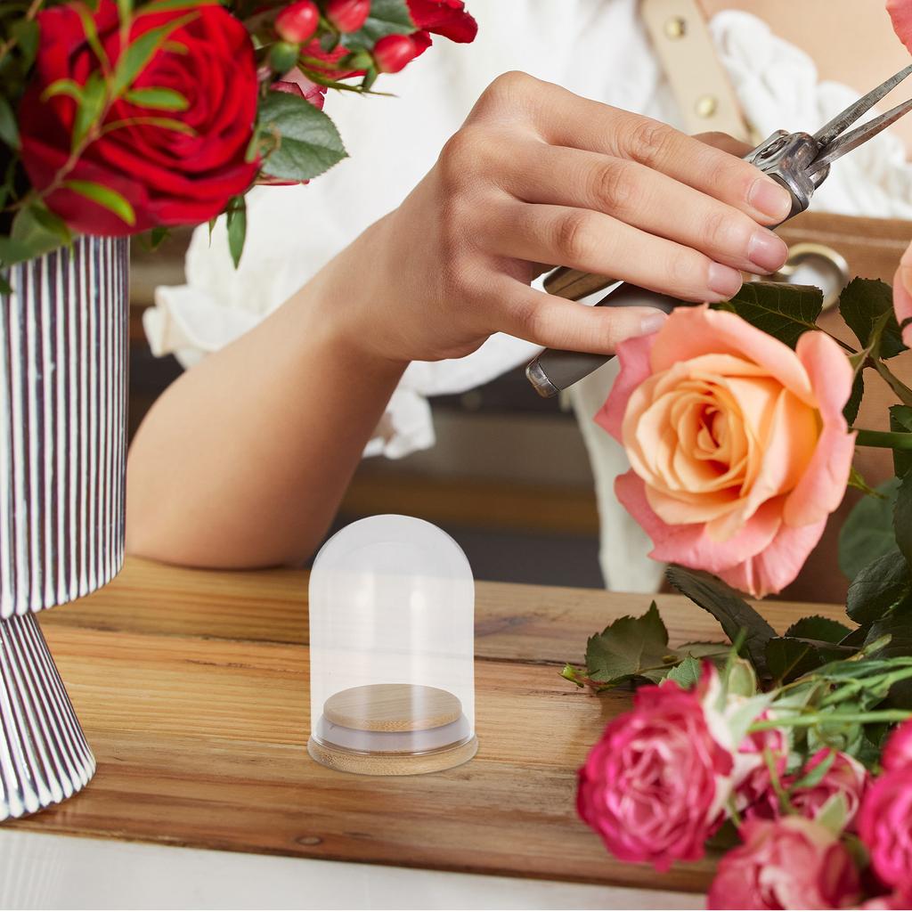 6Pcs Glass Cloche Dome Display Case 2.8x2 Inch Clear Dome with Wooden Base Dustproof Display for Preserved Flowers Wedding