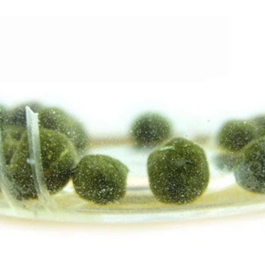 Ginseng Orchid Premium Camellia, Dongding Oolong Tea, Fragrant Bubble Resistant Type.