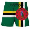 Sommer Herren Badehose Spanien Flagge Print Surfen Board Strandshorts Neue Mode Übergroße Badehosen Sportbekleidung Slips Boy Short Pants