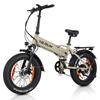 VARUN S20-1 Elektrische Fiets voor Volwassenen 250W Motor 48V13AH Lithium Batterij All-Terrain E-Bike voor Stadsverkeer en Off-Road Avontuur