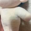 [USED] ENHYPEN Jungwon Plush Toy Master 20cm