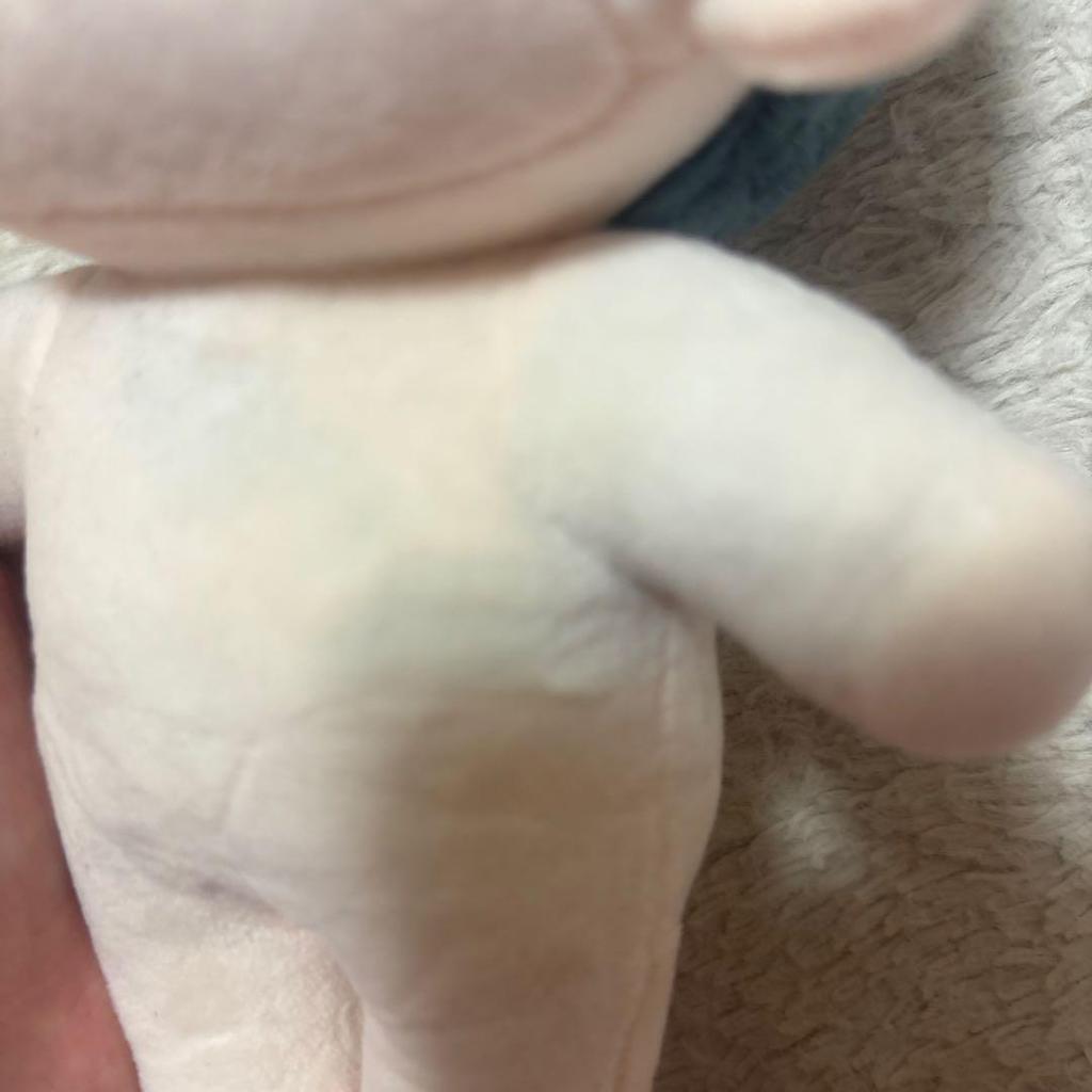 [USED] ENHYPEN Jungwon Plush Toy Master 20cm