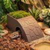 With Moss Tray Reptile Hideout Cave Anti Drowning Water Dispenser Reptile Feeding Box  Pet Breeding