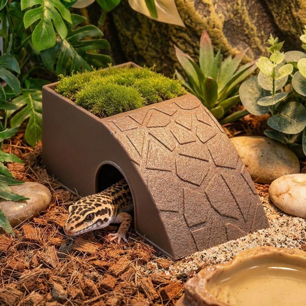 With Moss Tray Reptile Hideout Cave Anti Drowning Water Dispenser Reptile Feeding Box  Pet Breeding