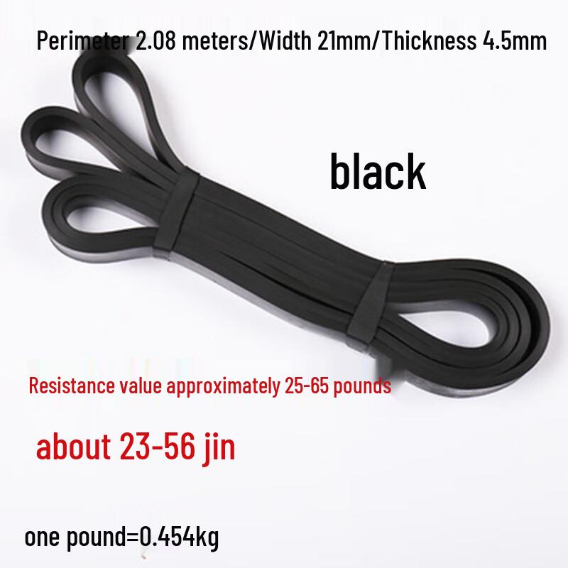 Fitness Resistance & Pull-up Assist Band