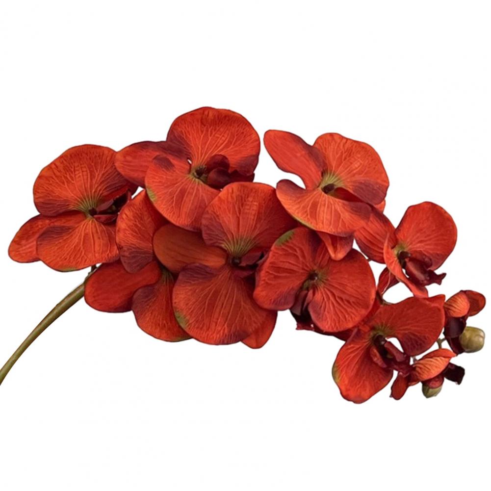 Dining Table Fake Flower Centerpiece Artificial Phalaenopsis Flowers Artificial Phalaenopsis Orchid Stem 3d Printing Realistic