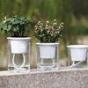 1Pcs Automatic Water Absorption Flower Pot Self Watering Double-layer Hydroponic Planter Plastic Transparent