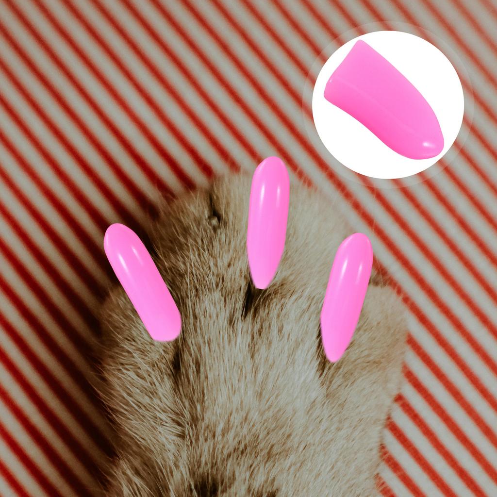 200Pcs Pet Nail Caps Lightweight Cat Nail Protectors Comfortable Claw Covers for Indoor Cats Dogs Scratch Prevention