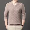 Autumn Winter 100% Sheep Wool Men's Sweater V-Neck Jacquard Smart Casual High Quality Knit Pullovers