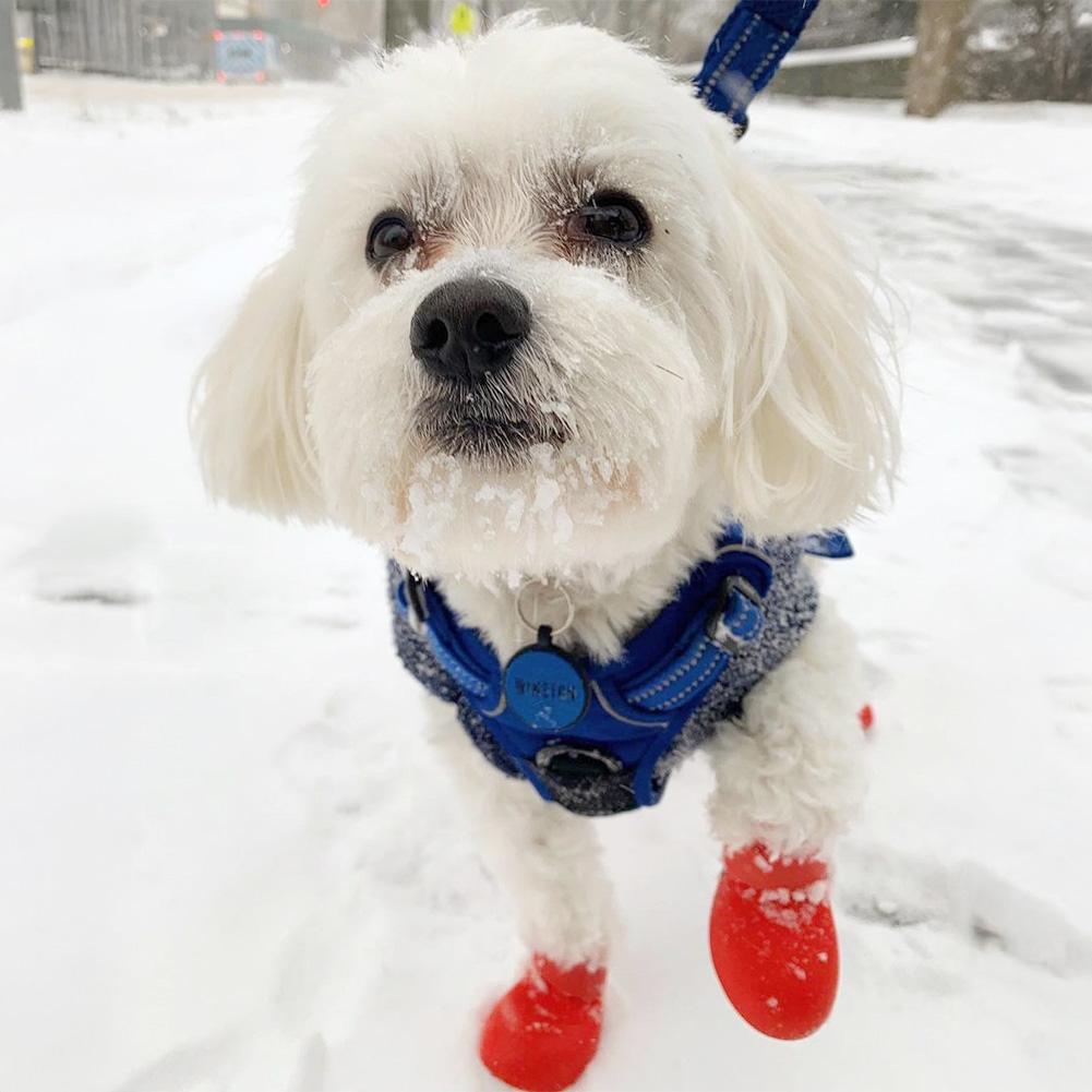 Silicone Dog Boots Waterproof Anti-Slip Pet Shoes 2pcs Paw Protectors All Weather Cute Dog Walking Shoes